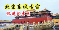 操小屄中国北京-东城古宫旅游风景区