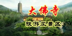 嗯嗯啊啊操b网站中国浙江-新昌大佛寺旅游风景区